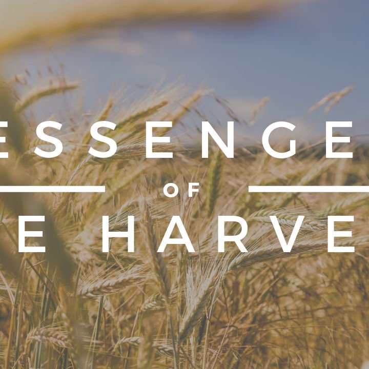 Messengers of the Harvest episode artwork