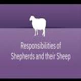 Trinity Fellowship Friendswood, TX