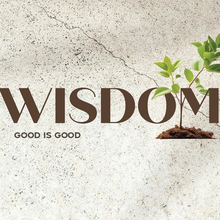Wisdom – Good is Good episode artwork