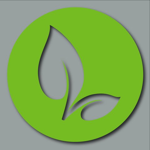 The Vine Community Church