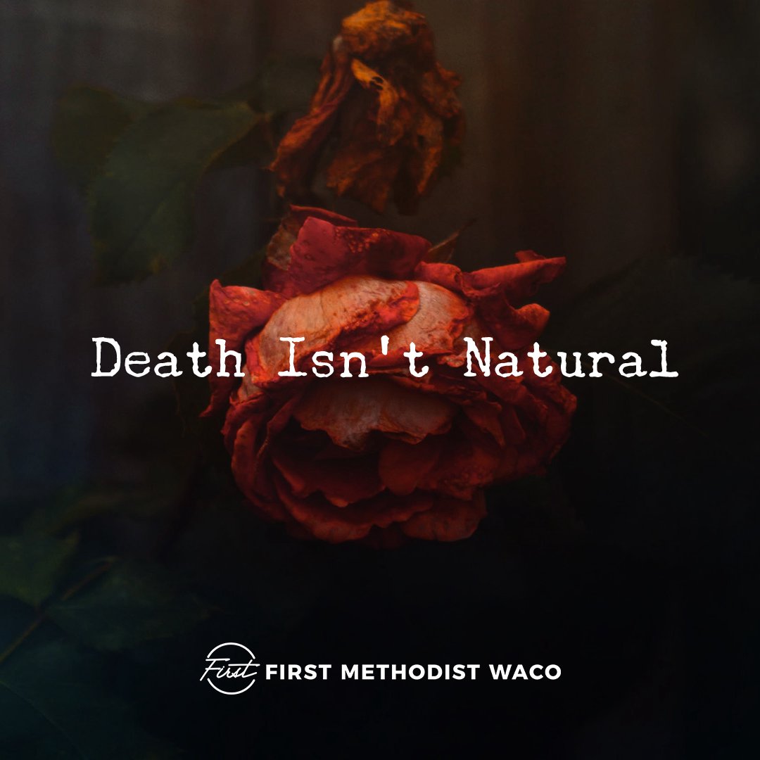 Death Isn't Natural episode artwork