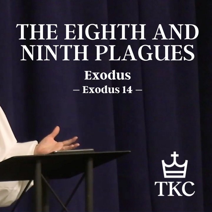 The Eighth and Ninth Plagues | Exodus episode artwork