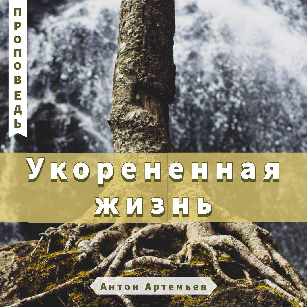 Укоренённая жизнь — Антон Артемье episode artwork
