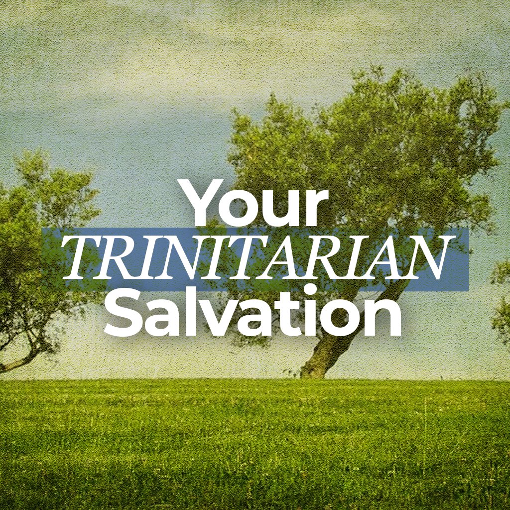 Your Trinitarian Salvation