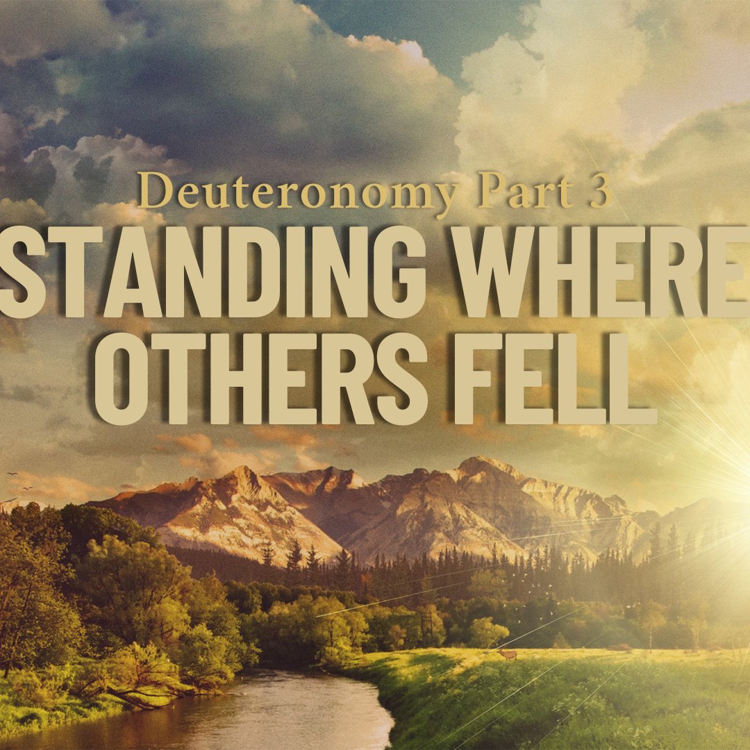 Standing Where Others Fell