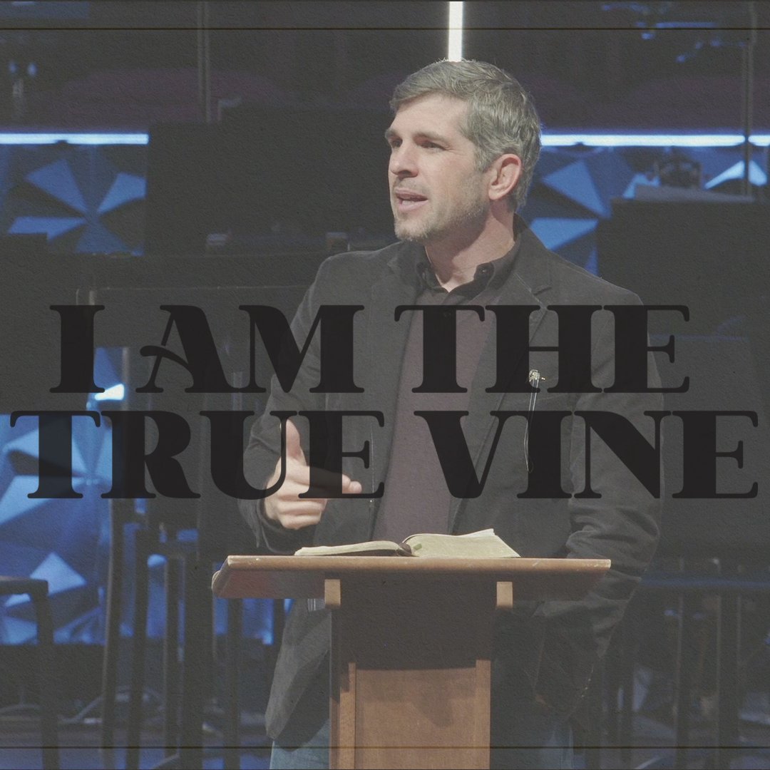 I Am The True Vine // John 15 episode artwork