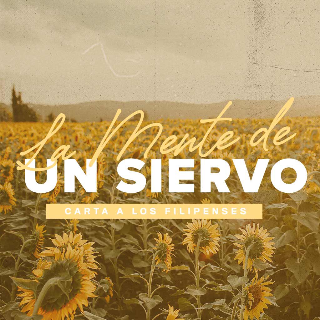 El Regocijo Un Medio De Protección episode artwork