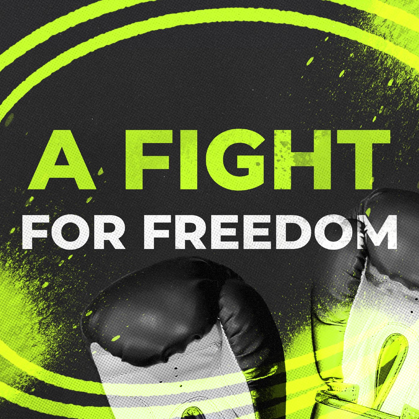 A Fight For Freedom part 1 episode artwork