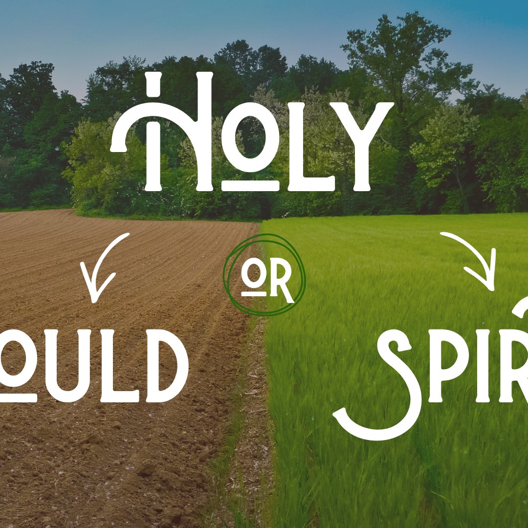 Holy Should or Holy Spirit