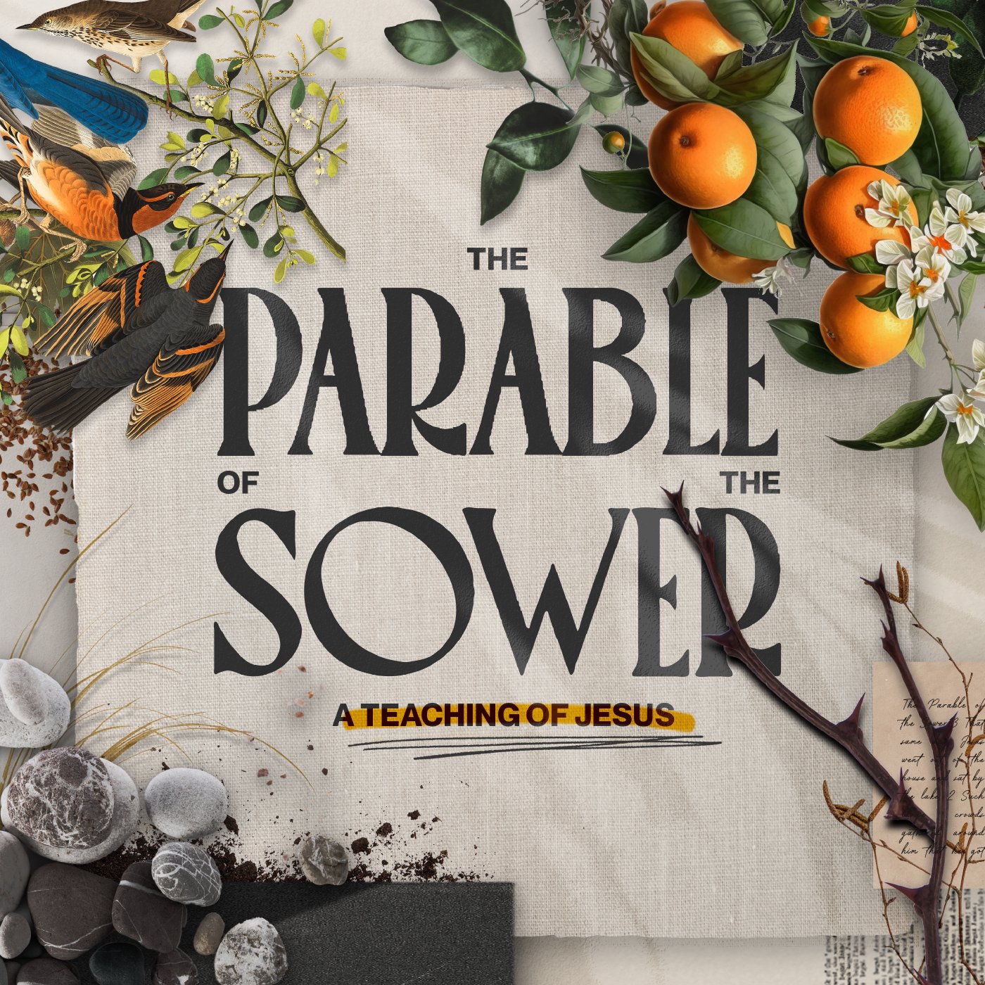 A Sower Went Out To Sow