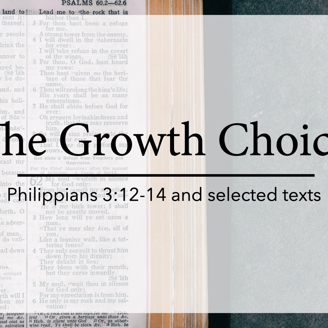 The Growth Choice episode artwork