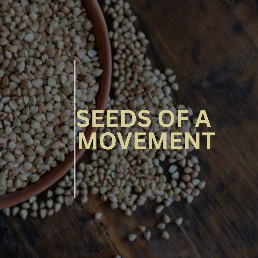 Seeds of a Movement episode artwork