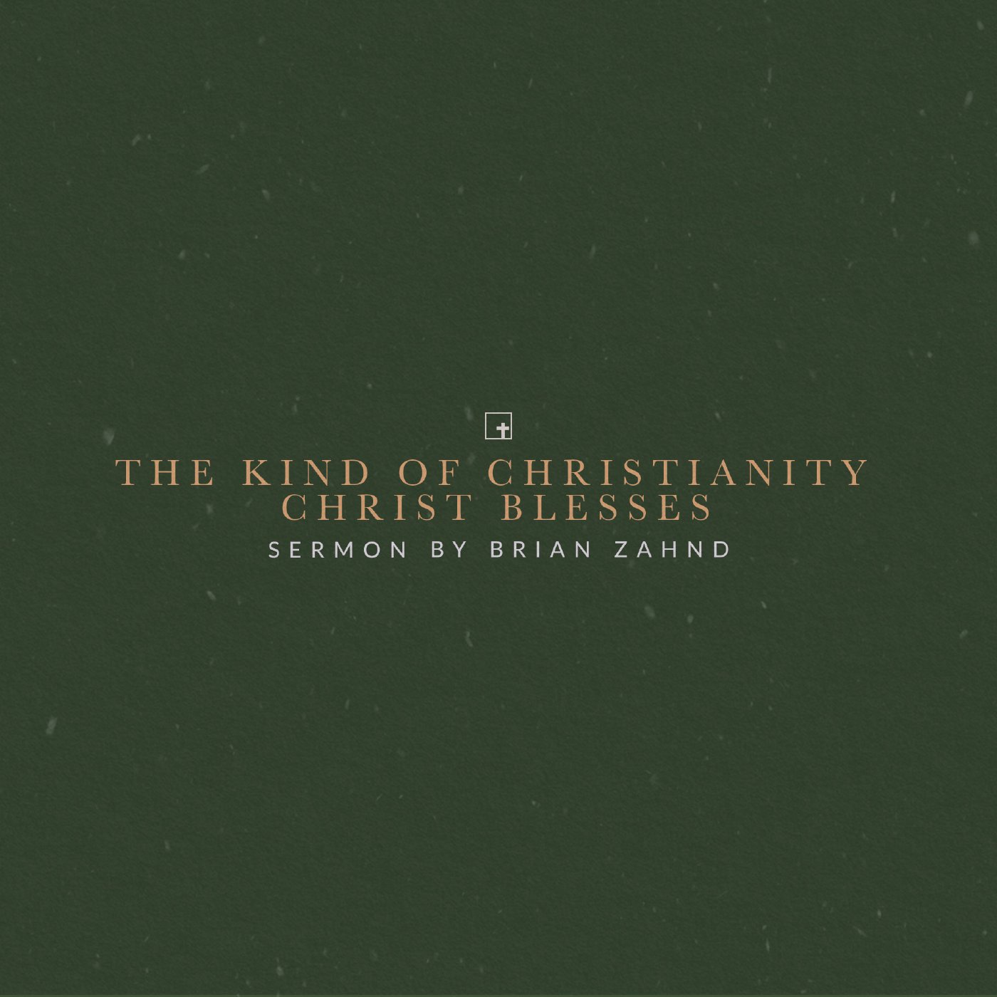 The Kind of Christianity Christ Blesses The Kind of Christianity Christ Blesses