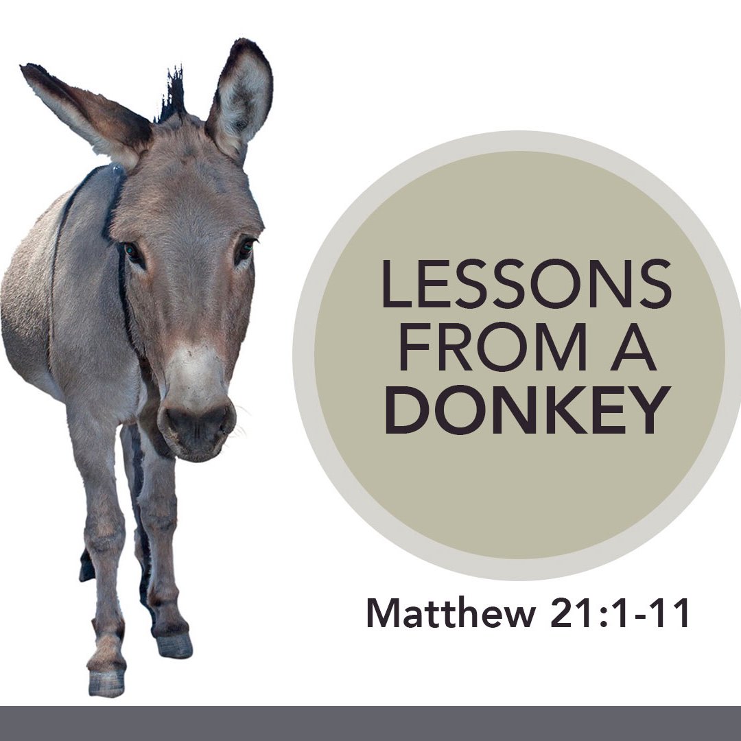 04.02.2023 - Lessons From a Donkey episode artwork