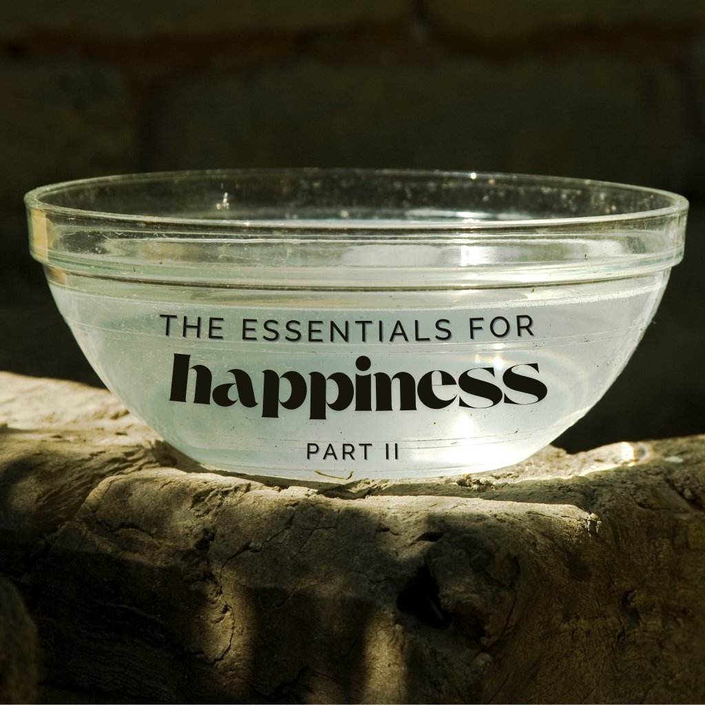 The Essentials for Happiness Part II