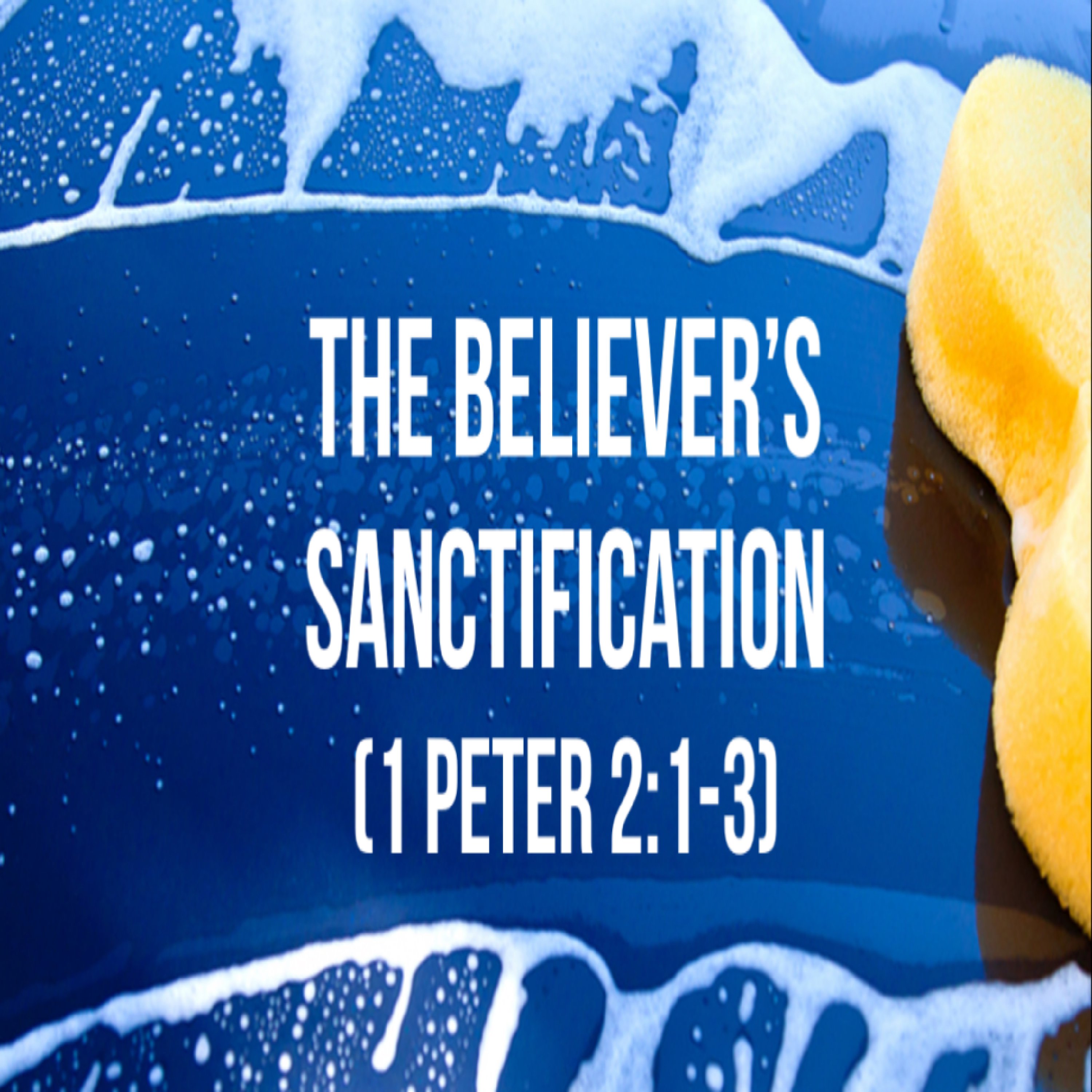 Table Rock Fellowship Series: Sanctification (1 Peter 2:1-3)