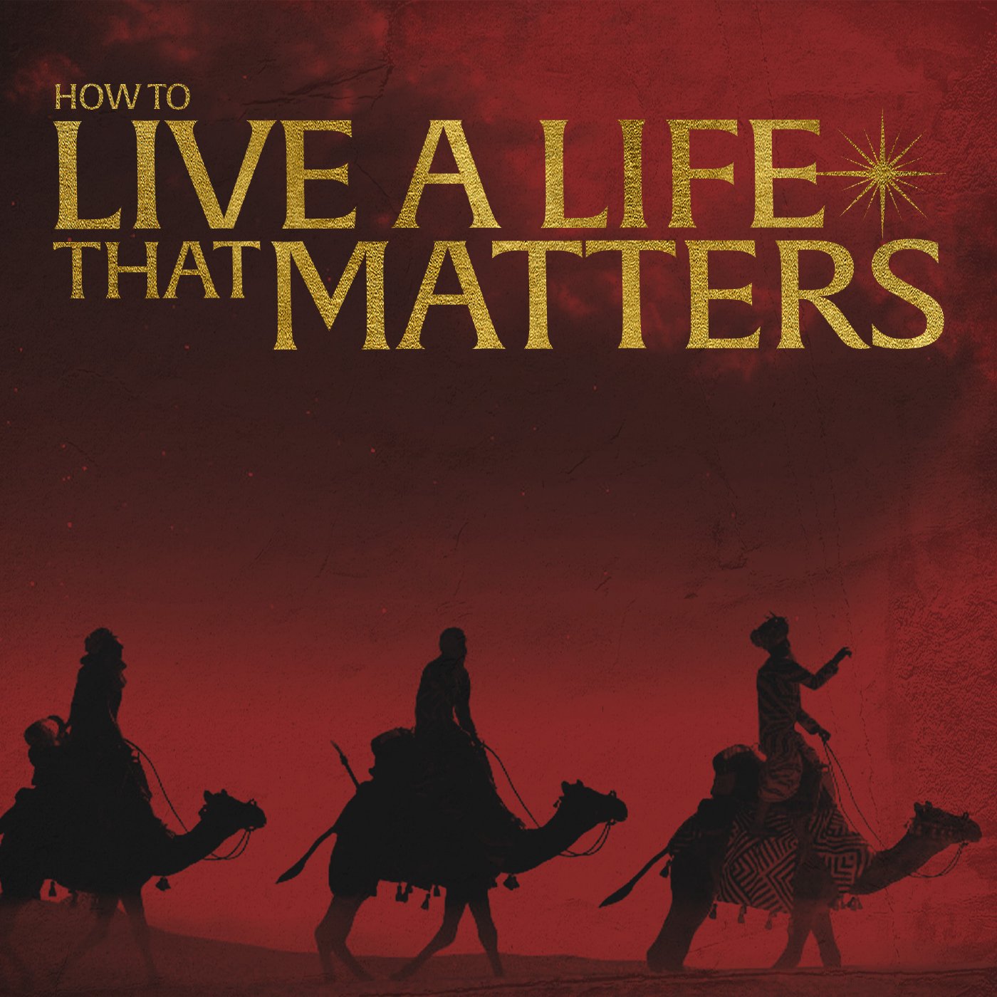 How To Live a Life That Matters episode artwork