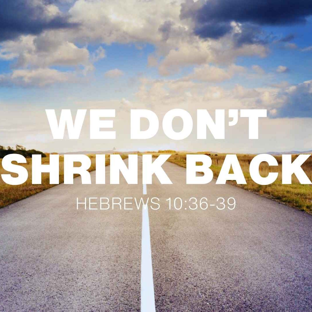 Daily Devotionals – Hebrews 10:36–39