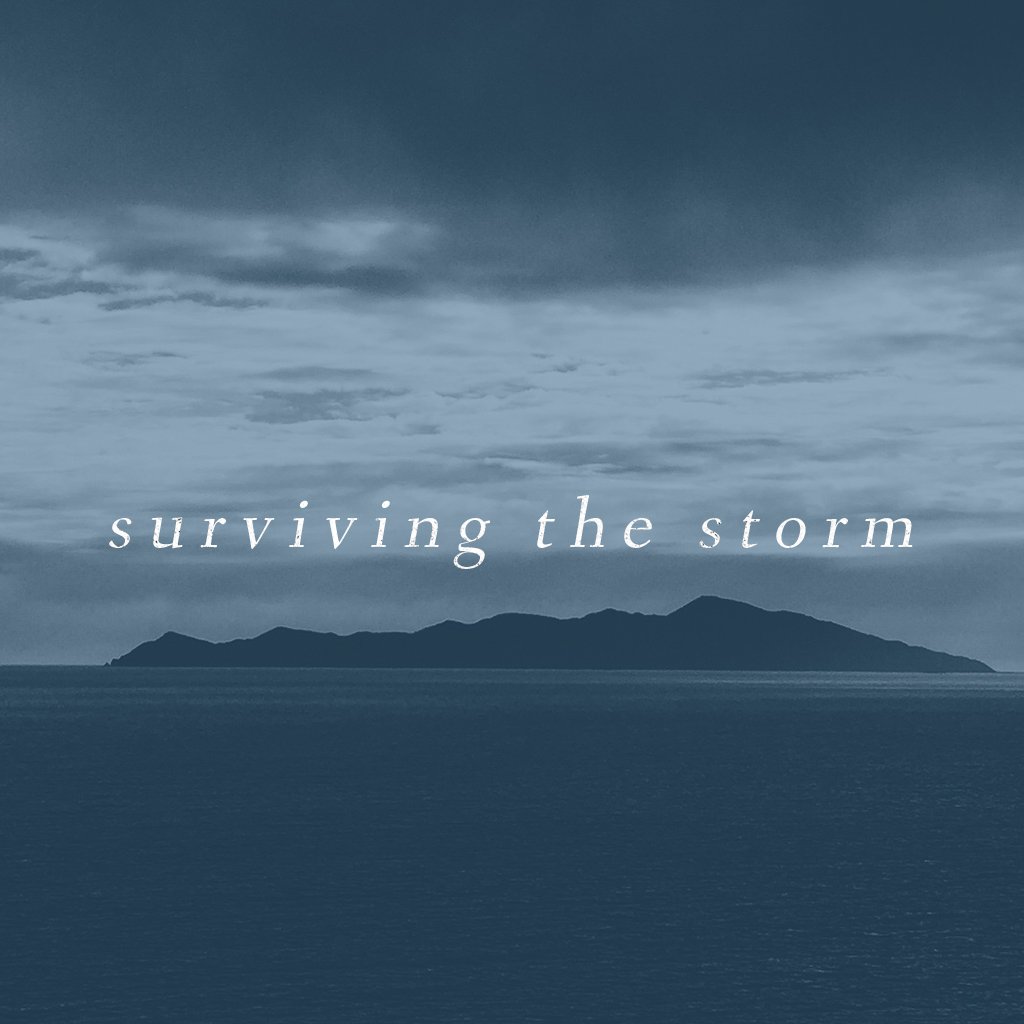 Surviving the Storm episode artwork