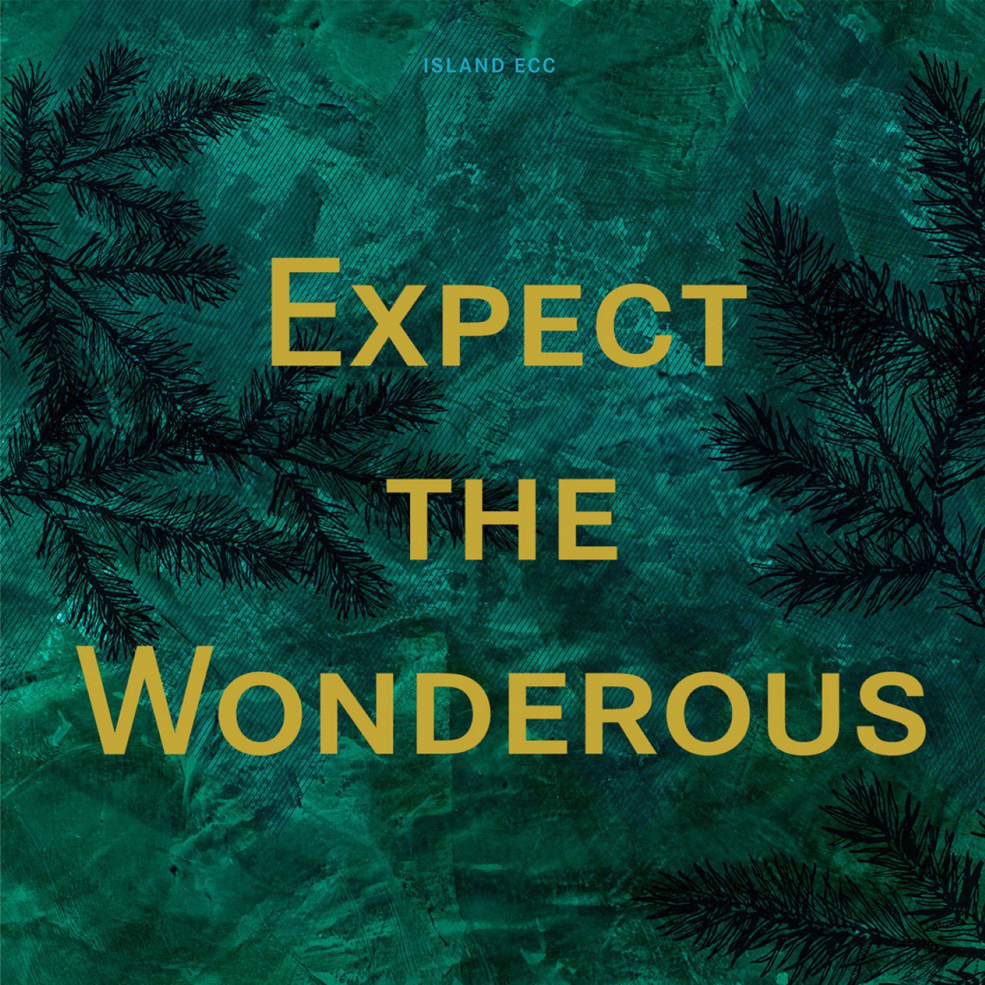The Great Expectation: Expect The Wonderous episode artwork
