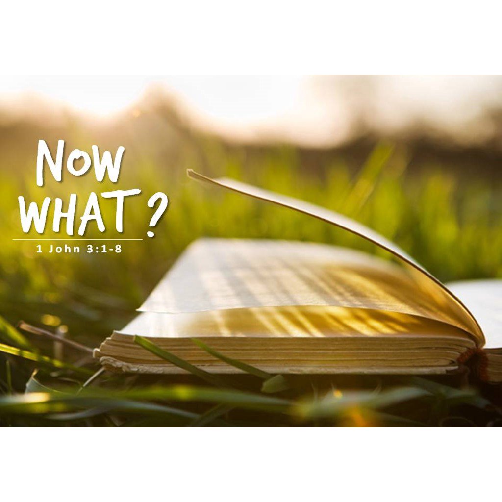04-15-18: Now What? episode artwork
