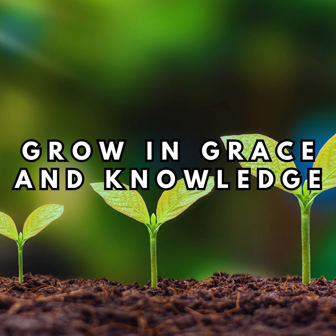Grow in Grace and Knowledge (2 Peter 1:3-10)