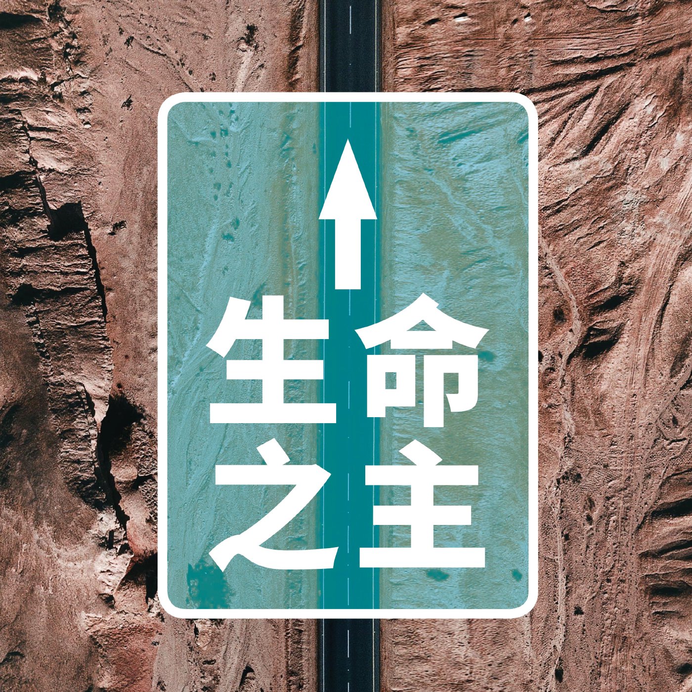 生命之主