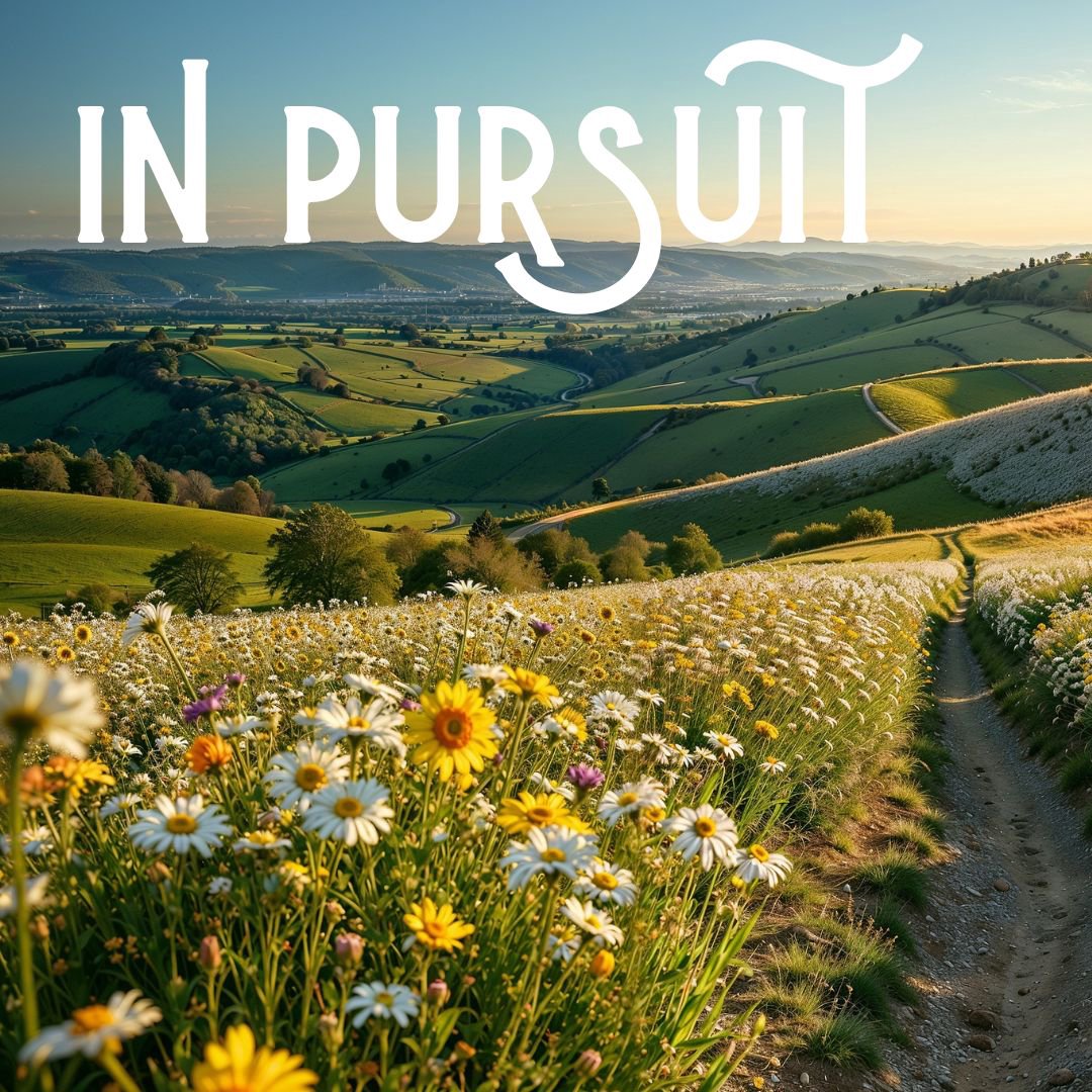 In Pursuit episode artwork