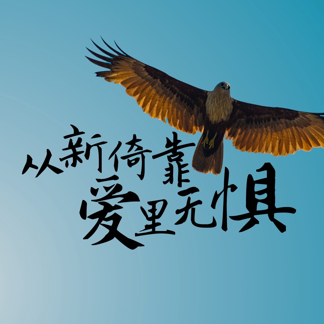 從新倚靠，愛裏無懼