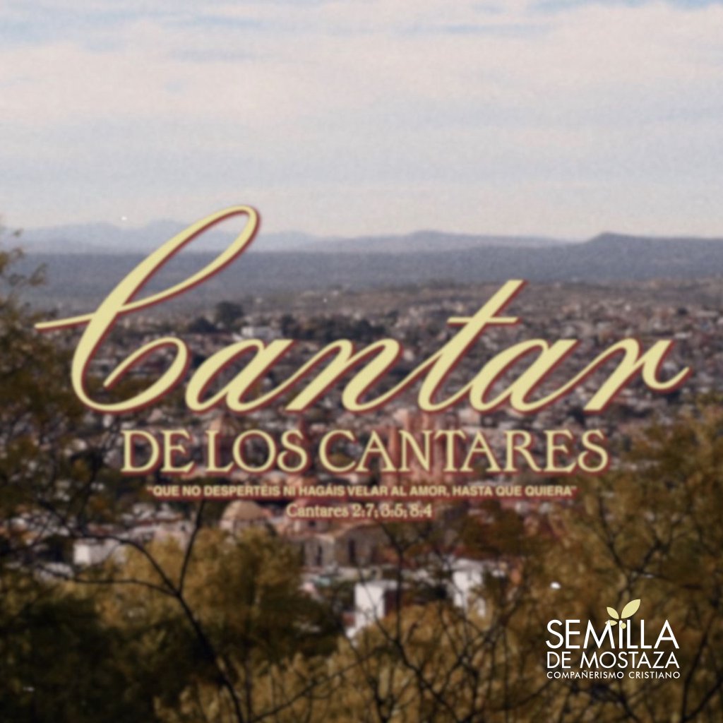 Resolviendo Conflictos