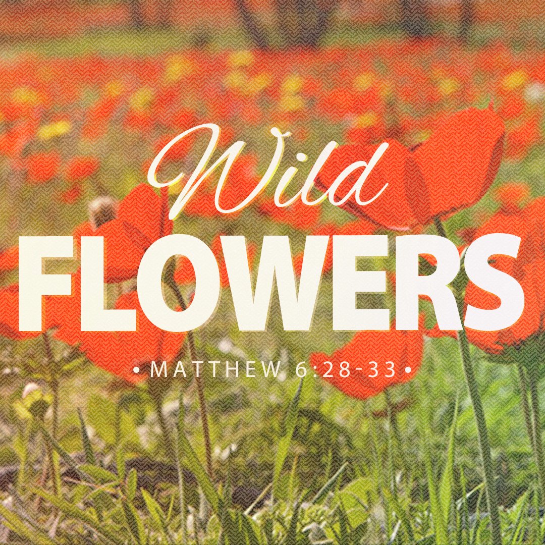 Wild Flowers episode artwork