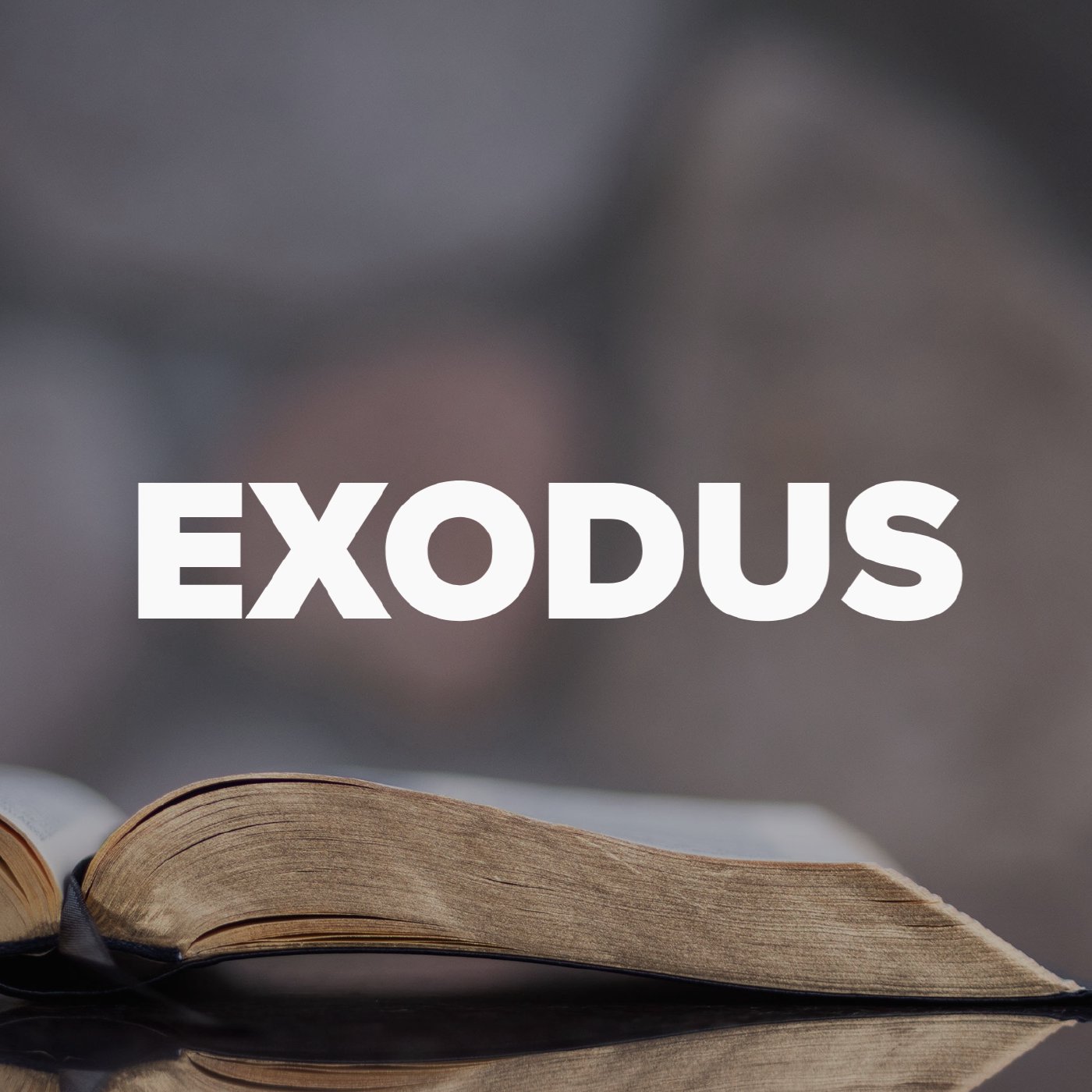 Exodus 40 - The End of the Exodus