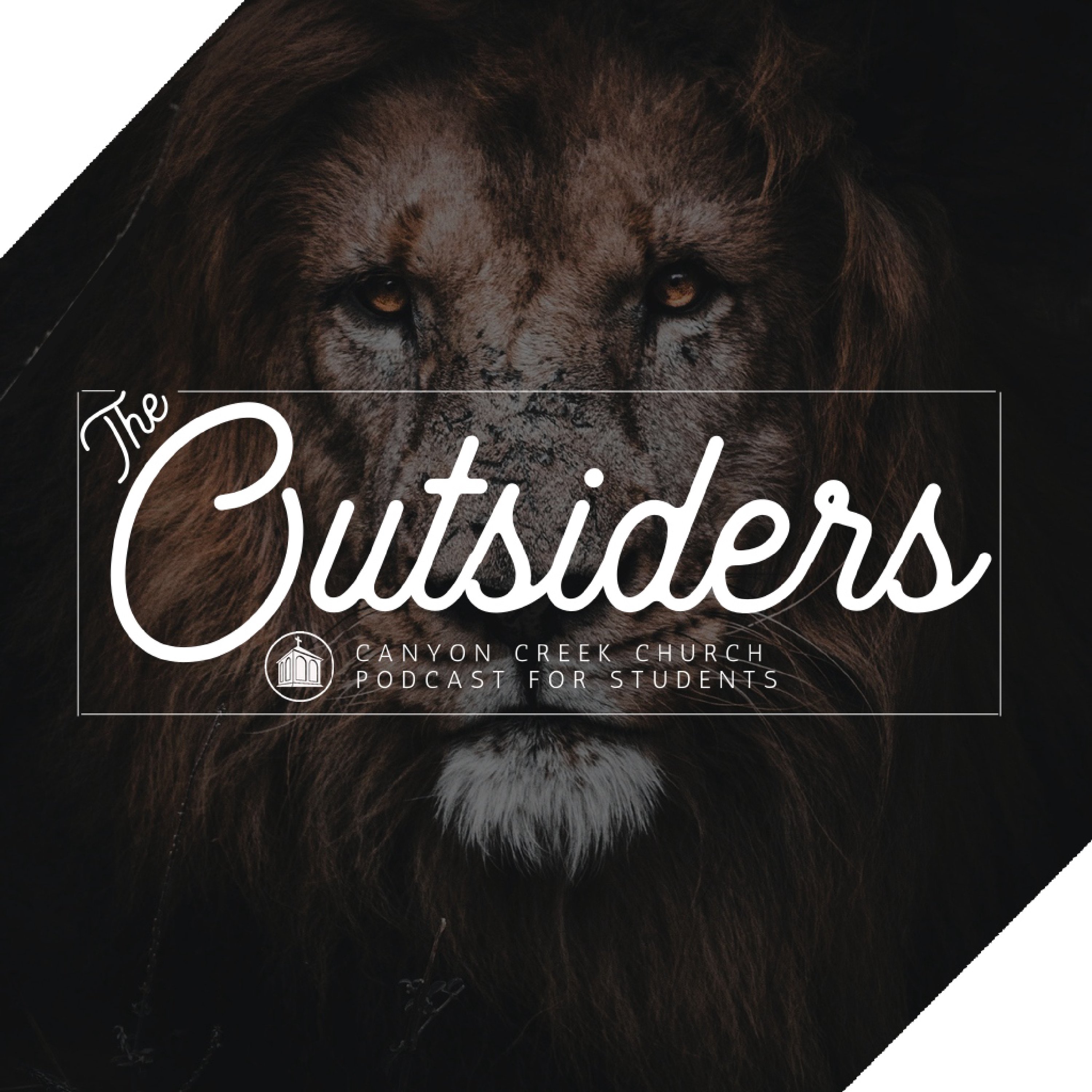 The Outsiders (Canyon Creek Students)