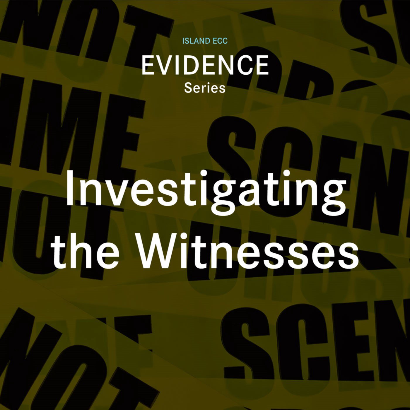Evidence: Investigating the Witnesses episode artwork