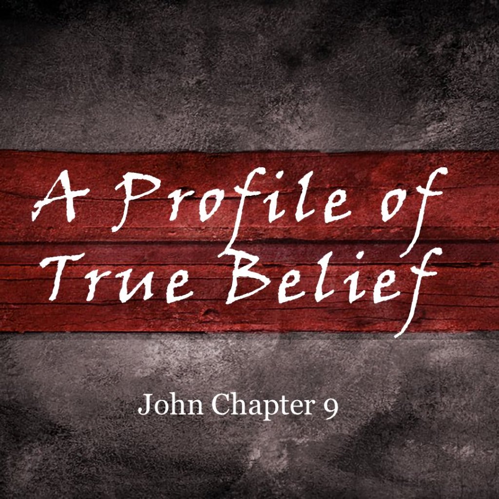 A Profile of True Belief