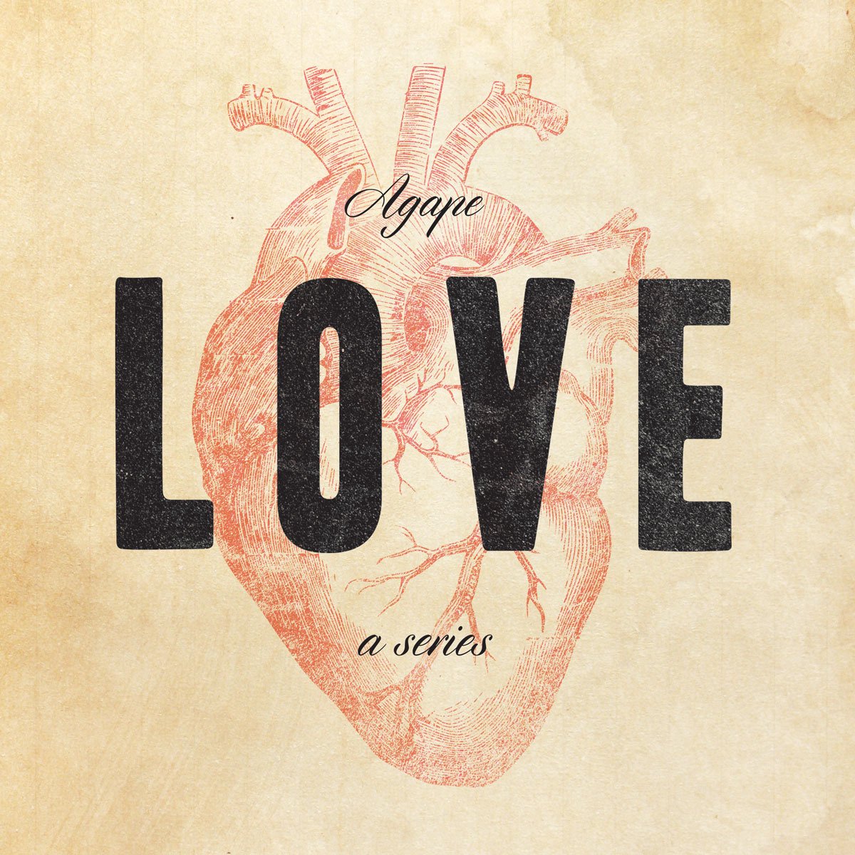 Love Does