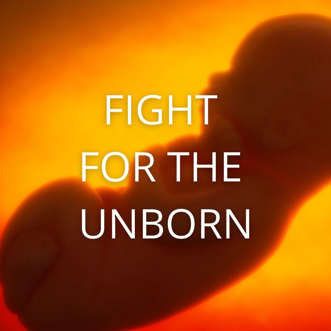 Fight For the Unborn episode artwork