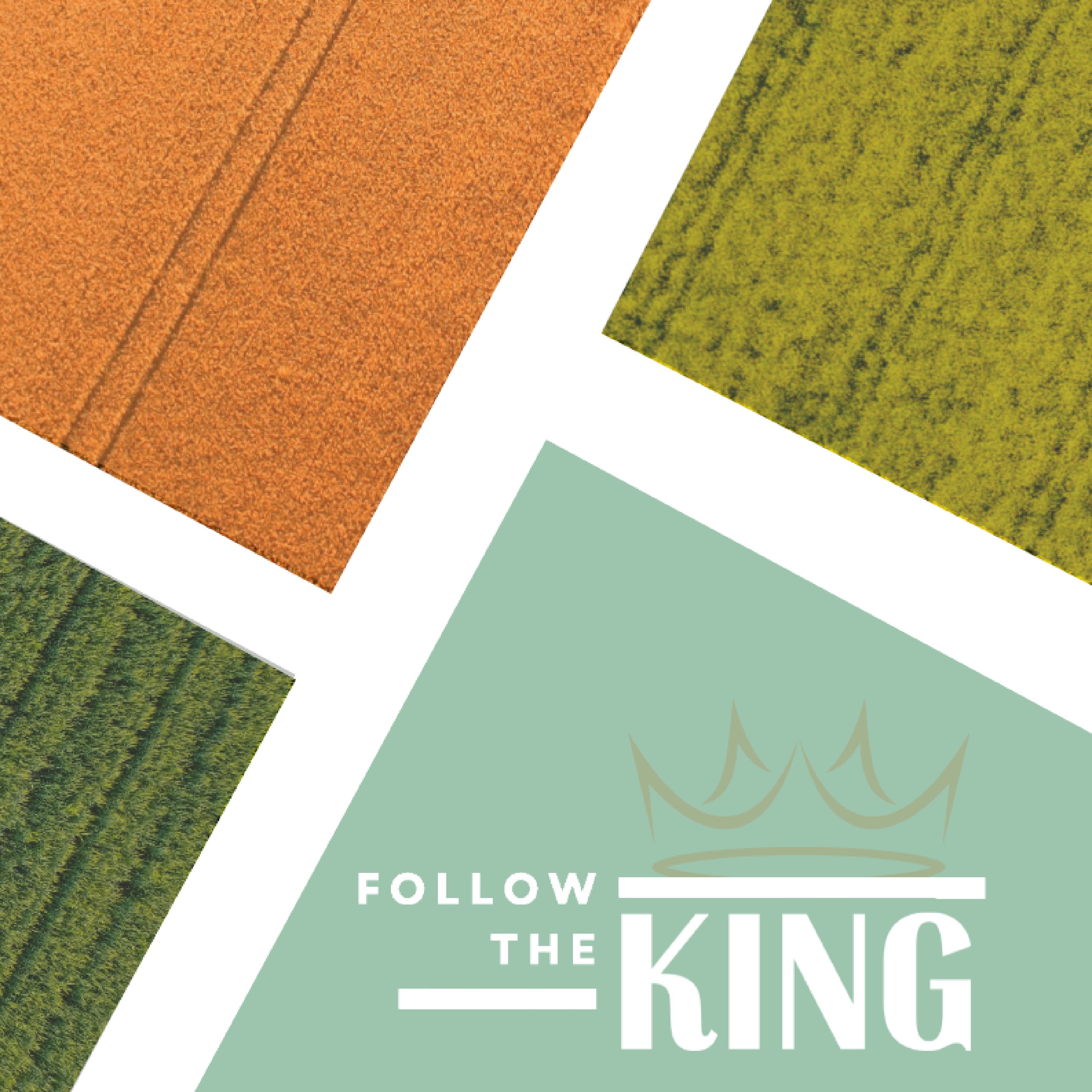 Matthew 8-13 podcast artwork