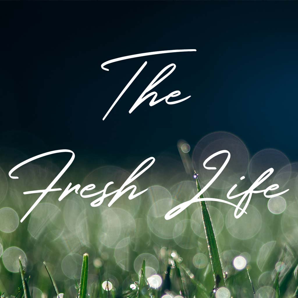 The Fresh Life | Part 5 episode artwork