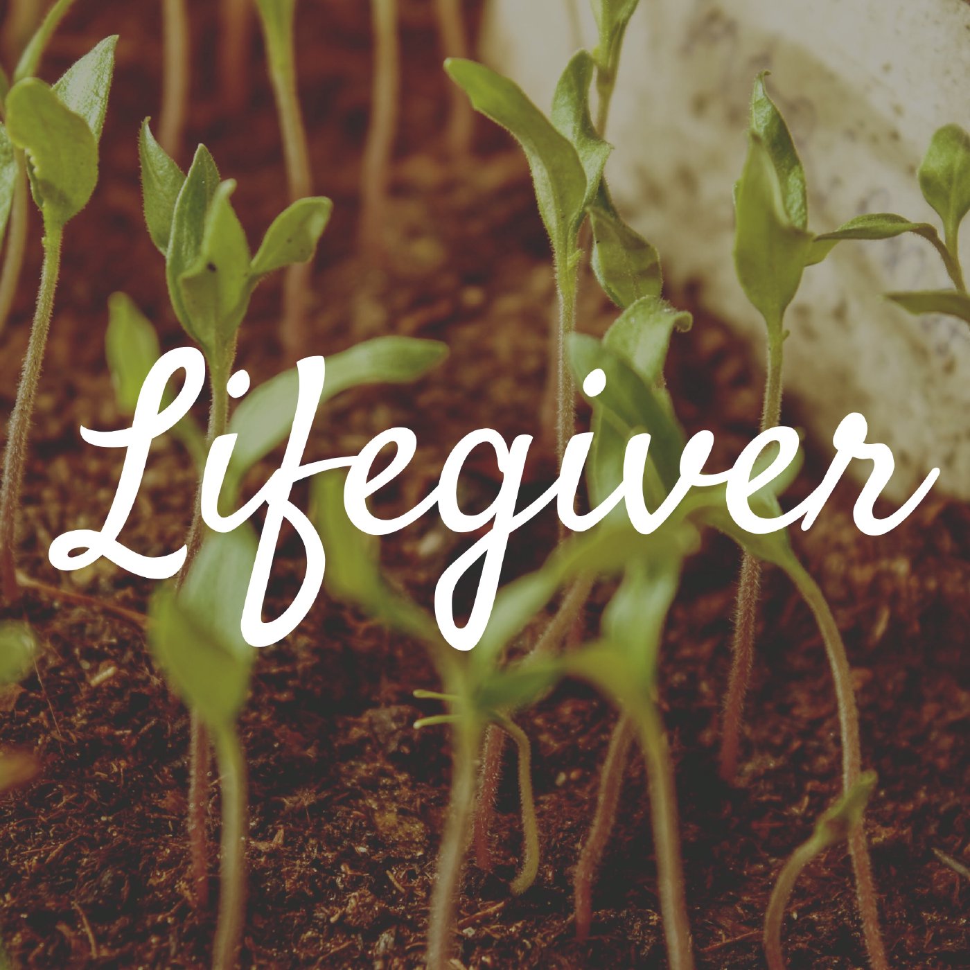 Lifegiver: Marriage Podcast for Military & First Responders
