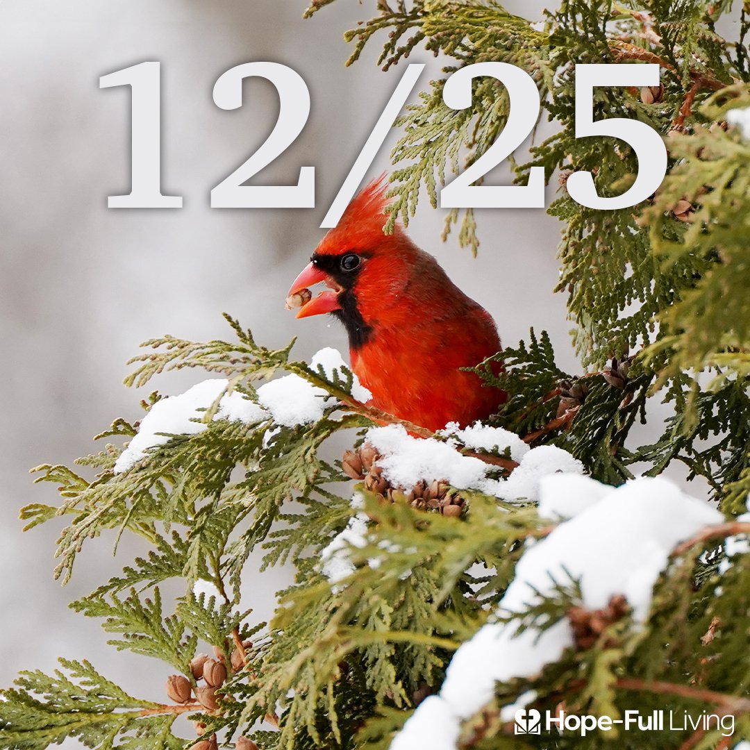 The Christmas Exchange episode artwork