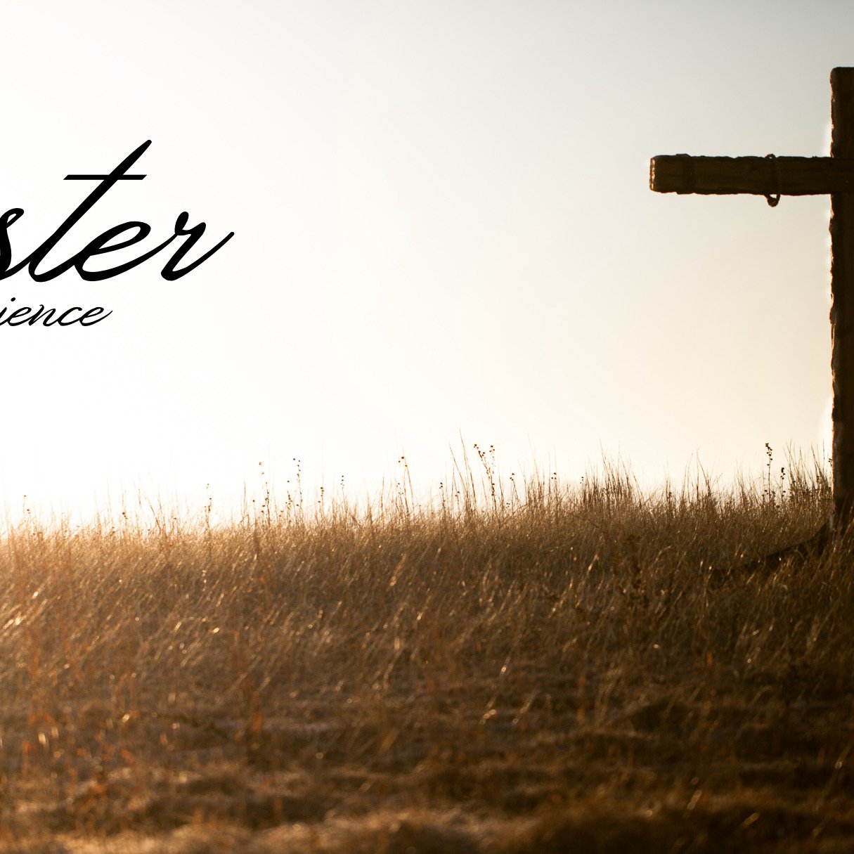 The Easter Experience, wk. 2