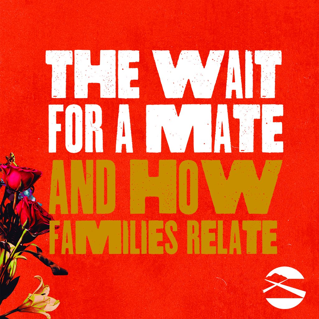 Waiting and Dating episode artwork