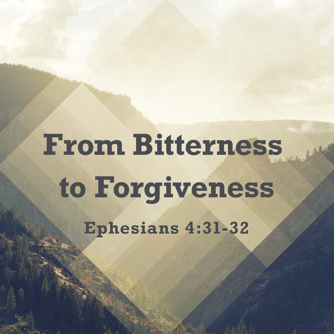 From Bitterness to Forgiveness episode artwork