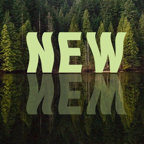 New