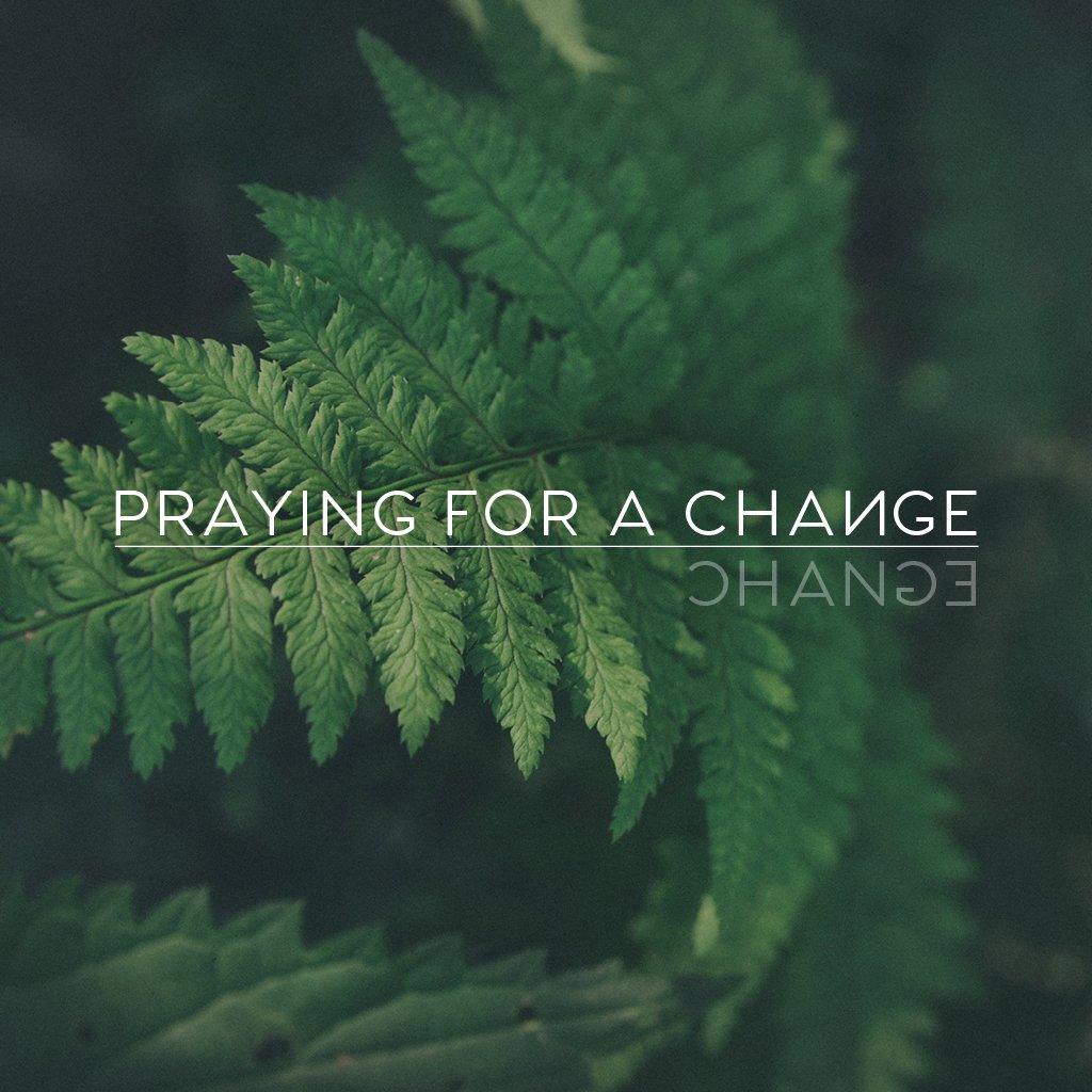 Pulling Back the Curtain on Prayer episode artwork