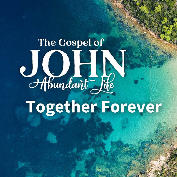 Together Forever episode artwork