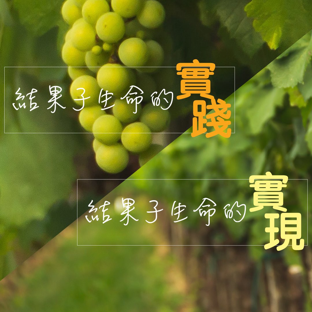 結果子生命的實現 episode artwork