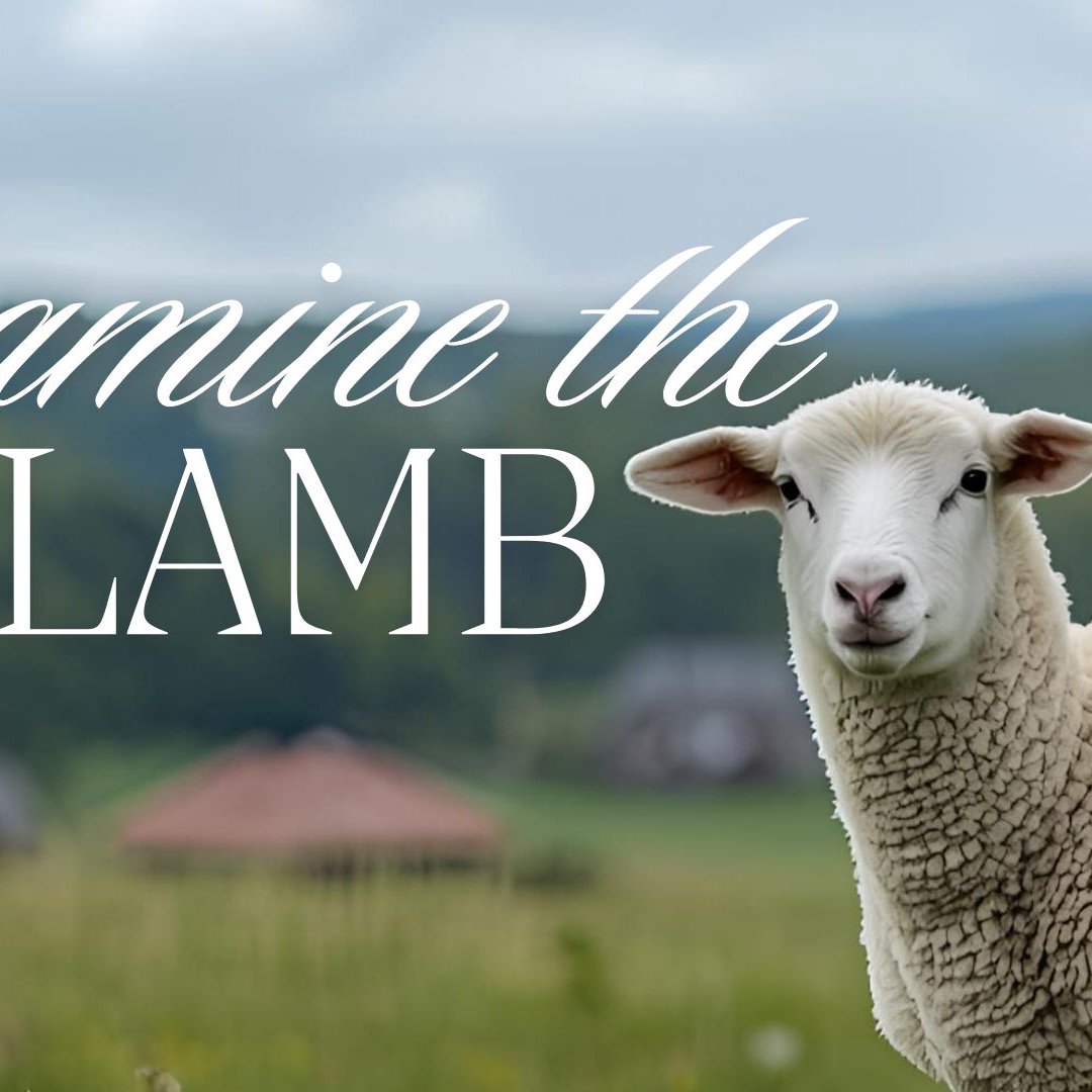 09/28/2025 Sun AM 09/28/2025 Sun AM