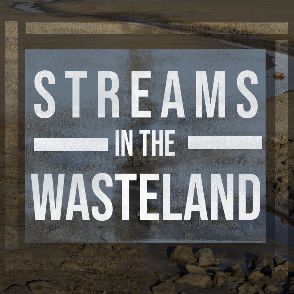 Streams in the Wasteland episode artwork